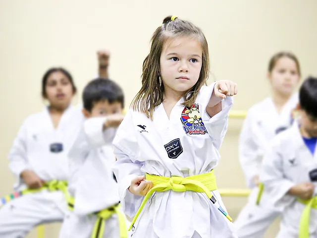 ประวัติความเป็นมาและวิวัฒนาการ